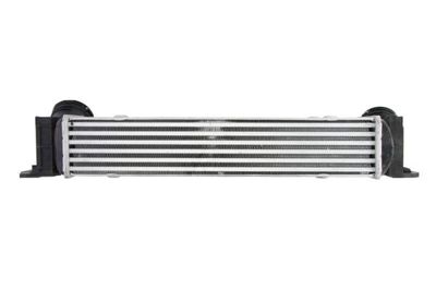 Charge Air Cooler THERMOTEC DAB009TT