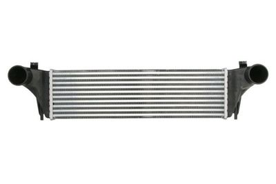 Charge Air Cooler THERMOTEC DAB025TT