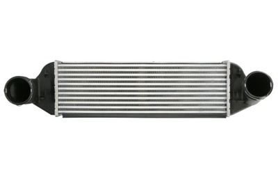Charge Air Cooler THERMOTEC DAB026TT