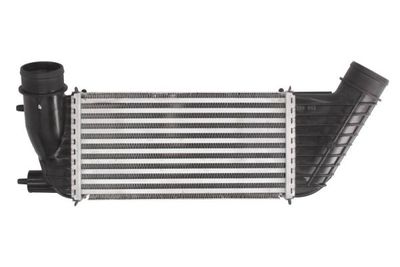 Charge Air Cooler THERMOTEC DAC006TT