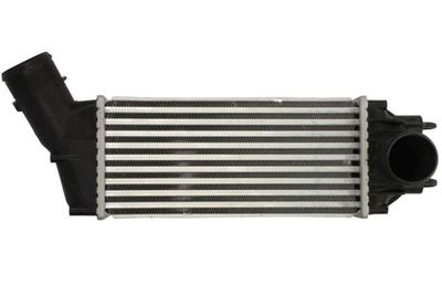 Charge Air Cooler THERMOTEC DAC016TT