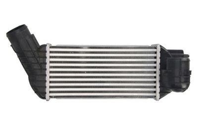 Charge Air Cooler THERMOTEC DAC017TT