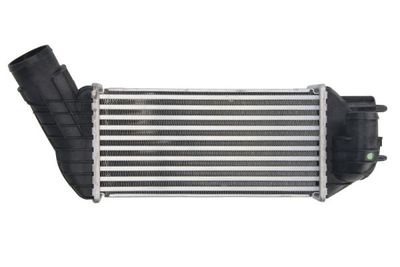 Charge Air Cooler THERMOTEC DAC019TT