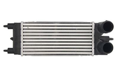 Charge Air Cooler THERMOTEC DAC020TT