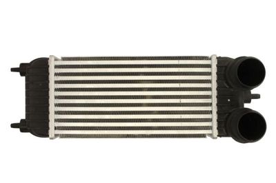 Charge Air Cooler THERMOTEC DAC023TT