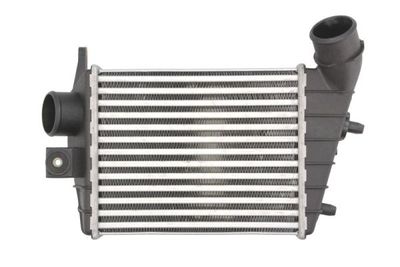 Charge Air Cooler THERMOTEC DAD001TT