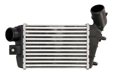 Charge Air Cooler THERMOTEC DAD003TT