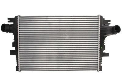 Charge Air Cooler THERMOTEC DAD004TT
