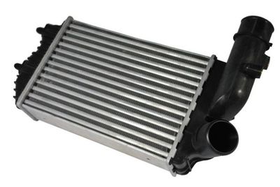 Charge Air Cooler THERMOTEC DAF001TT