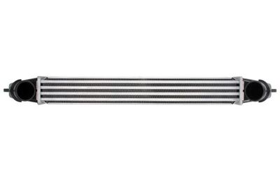 Charge Air Cooler THERMOTEC DAF003TT