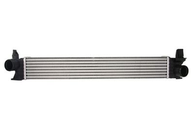 Charge Air Cooler THERMOTEC DAF007TT