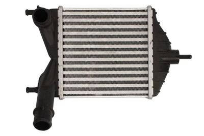 Charge Air Cooler THERMOTEC DAF014TT
