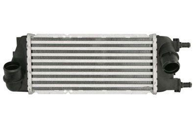 Charge Air Cooler THERMOTEC DAF016TT