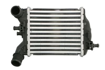 Charge Air Cooler THERMOTEC DAF017TT