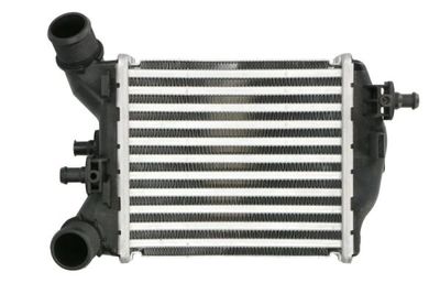 Charge Air Cooler THERMOTEC DAF018TT