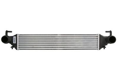 Charge Air Cooler THERMOTEC DAF019TT