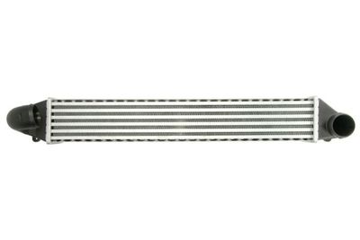 Charge Air Cooler THERMOTEC DAG008TT