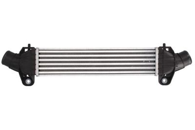 Charge Air Cooler THERMOTEC DAG009TT