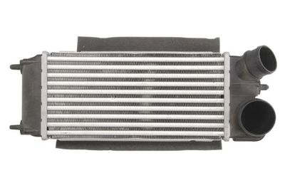 Charge Air Cooler THERMOTEC DAG014TT