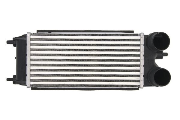 THERMOTEC DAG018TT Charge Air Cooler