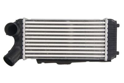 Charge Air Cooler THERMOTEC DAG024TT