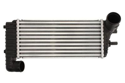 Charge Air Cooler THERMOTEC DAG025TT