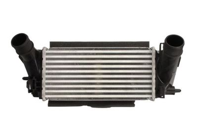 Charge Air Cooler THERMOTEC DAG029TT