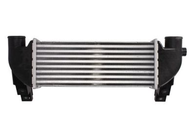 Charge Air Cooler THERMOTEC DAG031TT