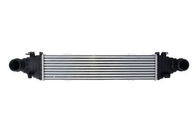 Charge Air Cooler THERMOTEC DAM009TT