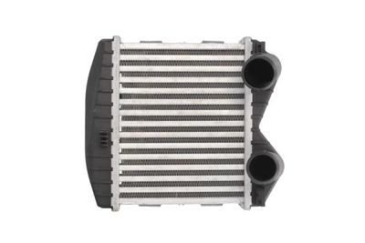 Charge Air Cooler THERMOTEC DAM012TT