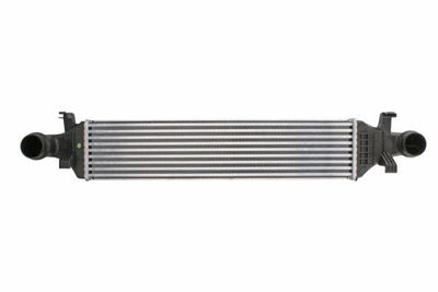 Charge Air Cooler THERMOTEC DAM017TT