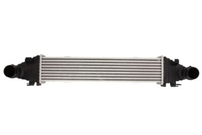 Charge Air Cooler THERMOTEC DAM025TT