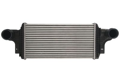 Charge Air Cooler THERMOTEC DAM028TT