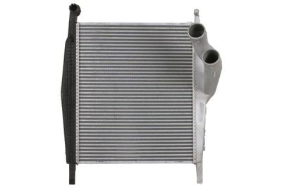 Charge Air Cooler THERMOTEC DAME005TT