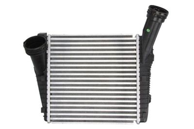 Charge Air Cooler THERMOTEC DAN001TT