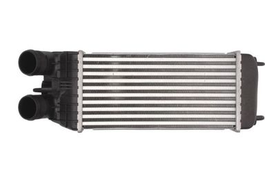 Charge Air Cooler THERMOTEC DAP003TT