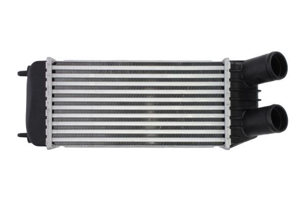 THERMOTEC DAP006TT Charge Air Cooler