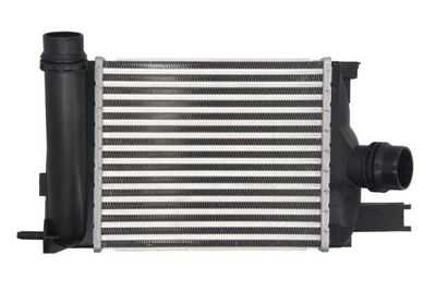 Charge Air Cooler THERMOTEC DAR020TT