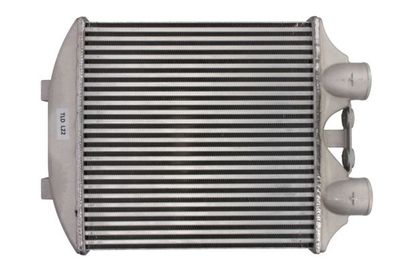 Charge Air Cooler THERMOTEC DAT003TT