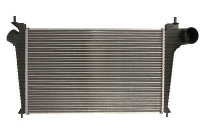 Charge Air Cooler THERMOTEC DAU001TT