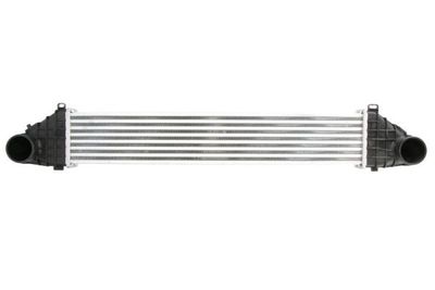 Charge Air Cooler THERMOTEC DAV011TT