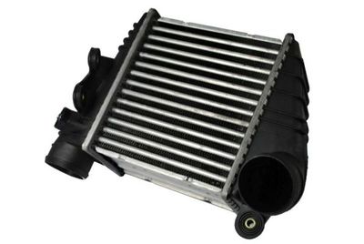Charge Air Cooler THERMOTEC DAW001TT