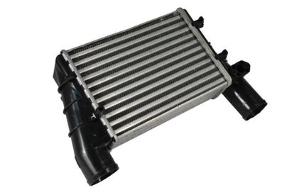 Charge Air Cooler THERMOTEC DAW002TT