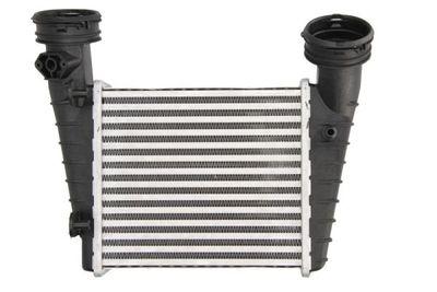 Charge Air Cooler THERMOTEC DAW004TT