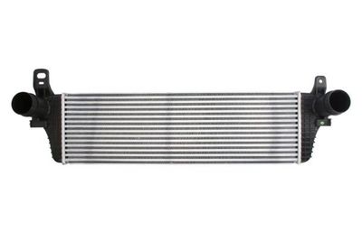 Charge Air Cooler THERMOTEC DAW010TT