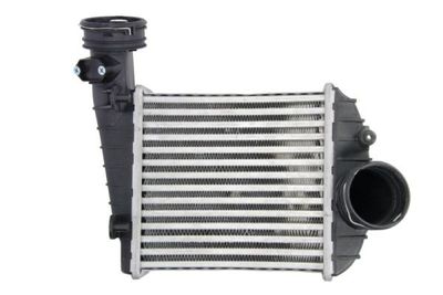 Charge Air Cooler THERMOTEC DAW013TT