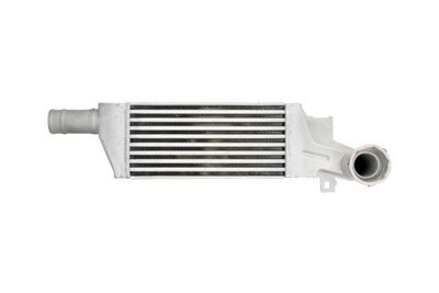 Charge Air Cooler THERMOTEC DAX009TT