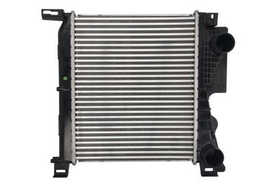 Charge Air Cooler THERMOTEC DAY001TT