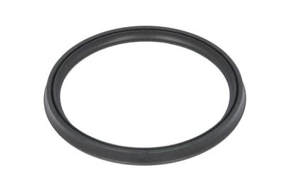 Seal Ring, charge air hose THERMOTEC DCB082TT