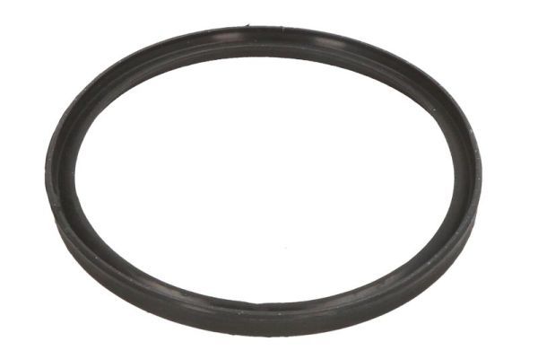 THERMOTEC DCB086TT Seal Ring